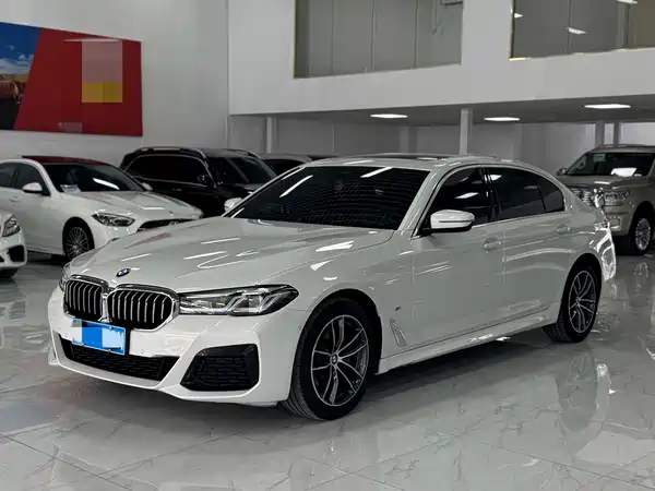 BMW 5 Series 2021