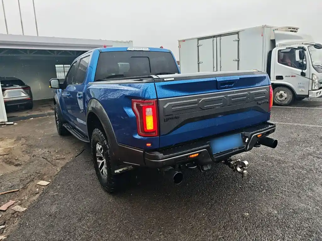 Ford F-150 Raptor 2018 — фото 23