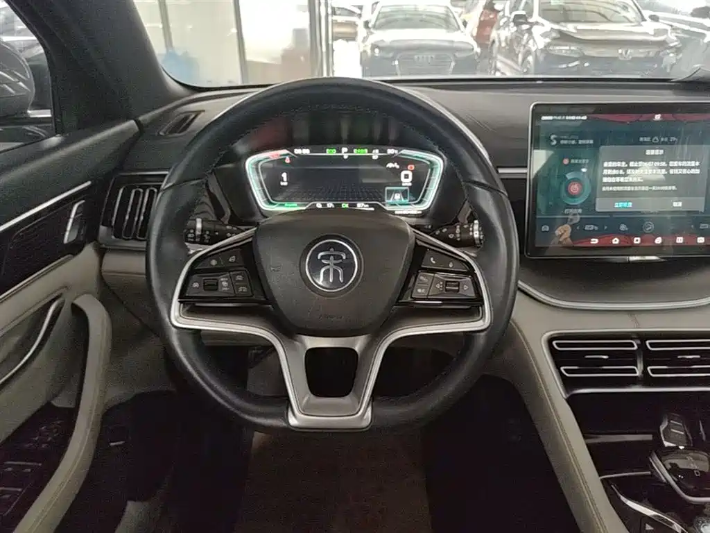 BYD PLUS New Energy 2023 — фото 11