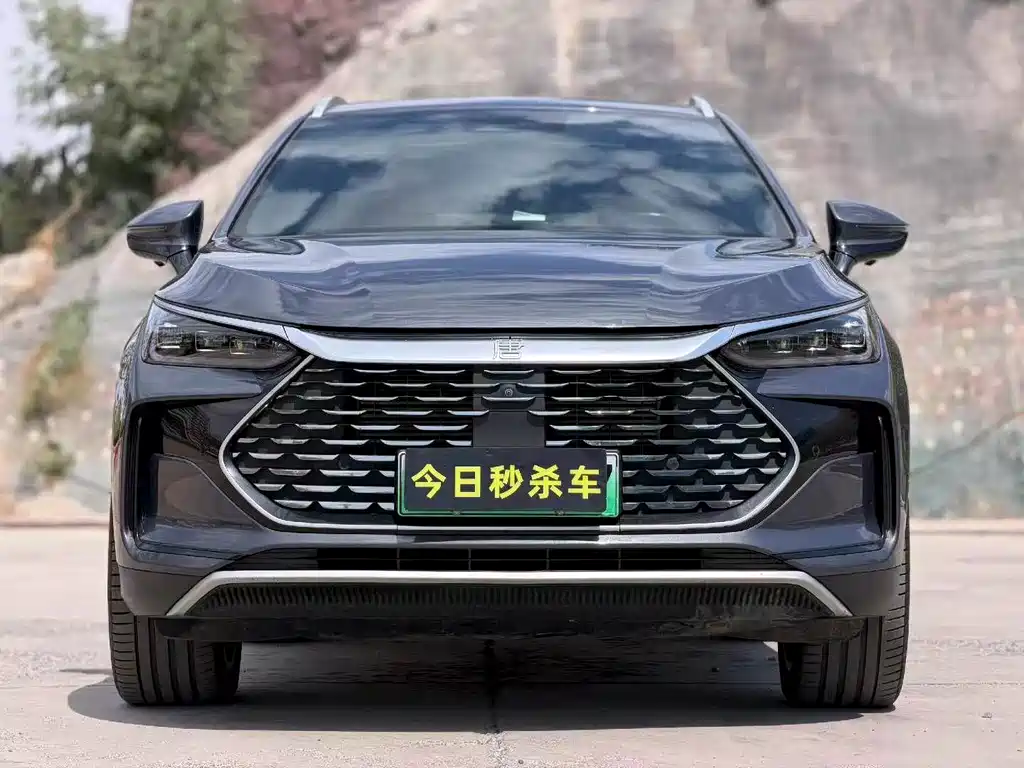 BYD Tang New Energy 2023 — фото 2
