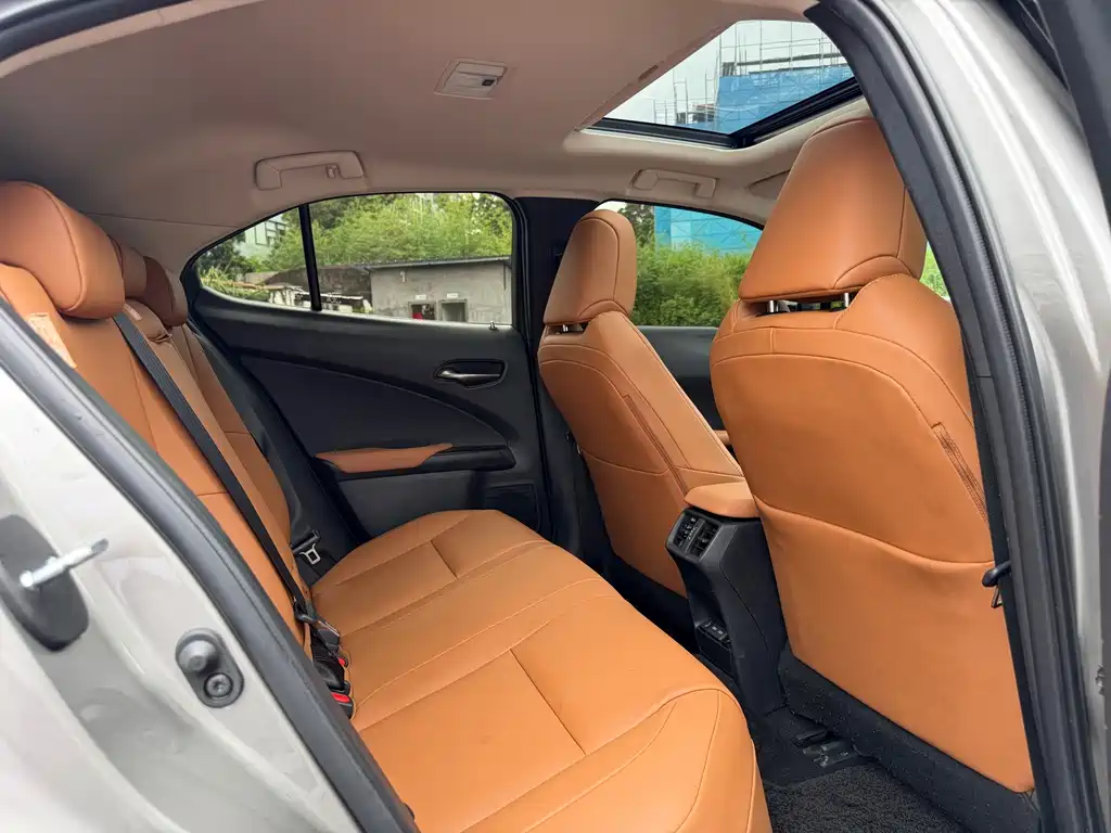 Lexus UX New Energy 2023 — фото 9