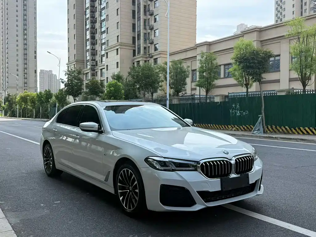 BMW 5 Series 2019