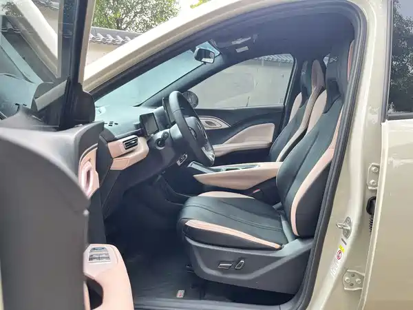BYD Seagull 2024