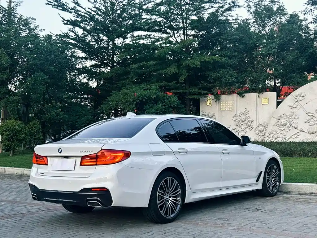 BMW 5 Series 2019 — фото 9