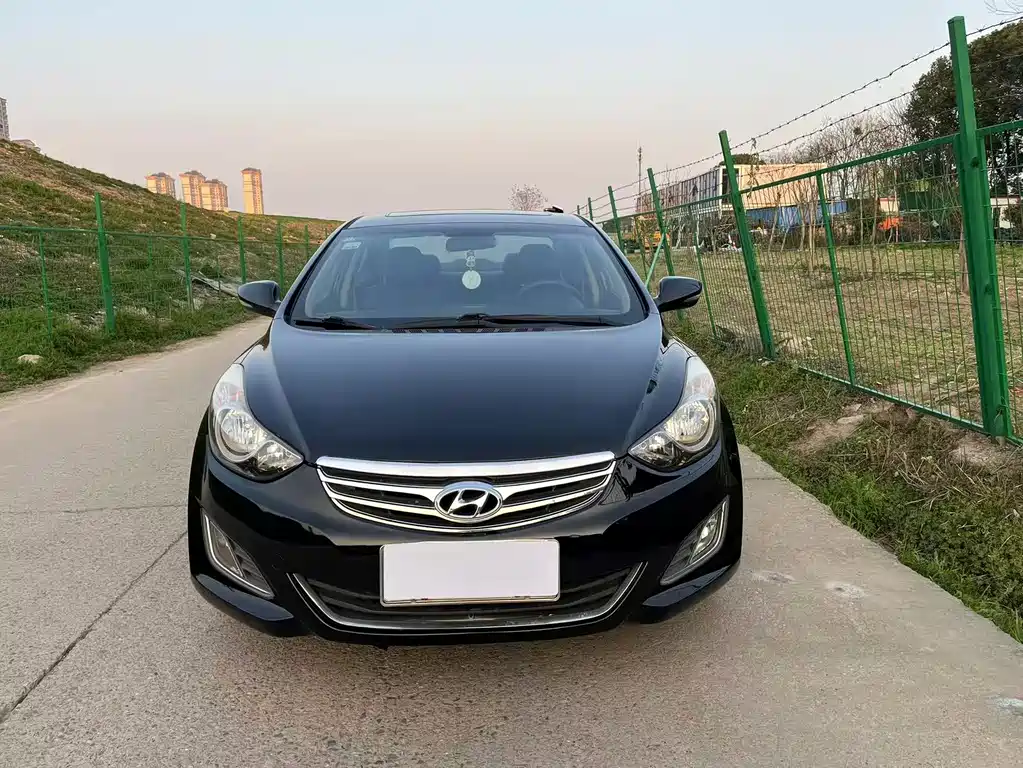 Hyundai Elantra Langdong 2014 — фото 2