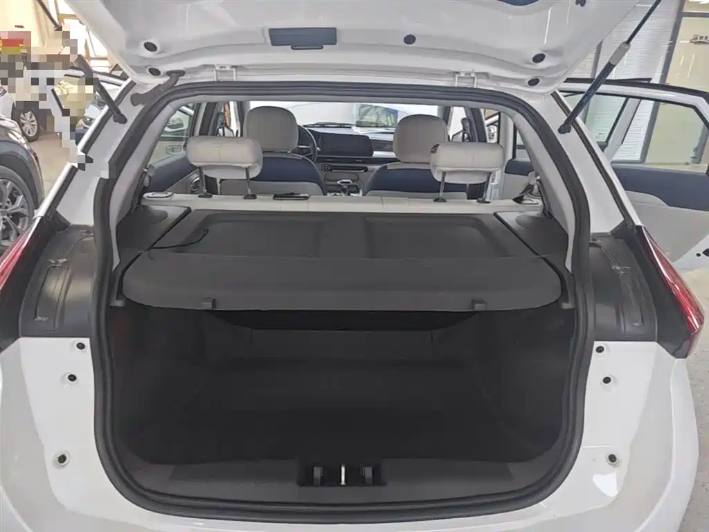 Chery Tiggo 3x 2024 — фото 19