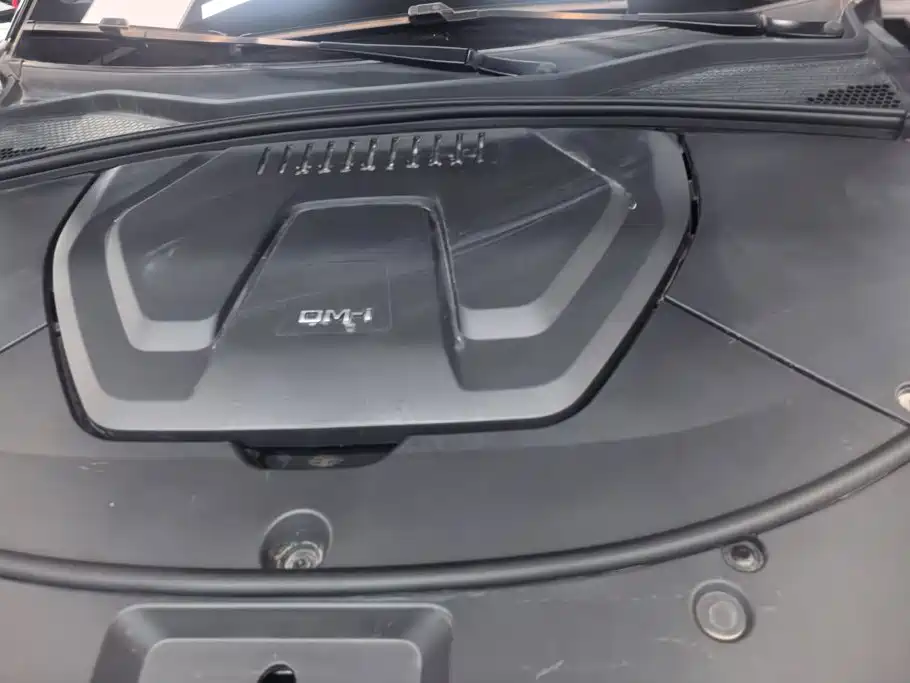 BYD Song PLUS New Energy 2025 — фото 10