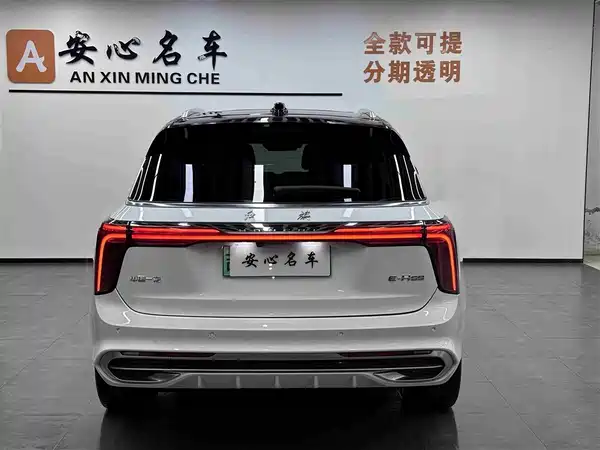 Hongqi E-HS9 2022