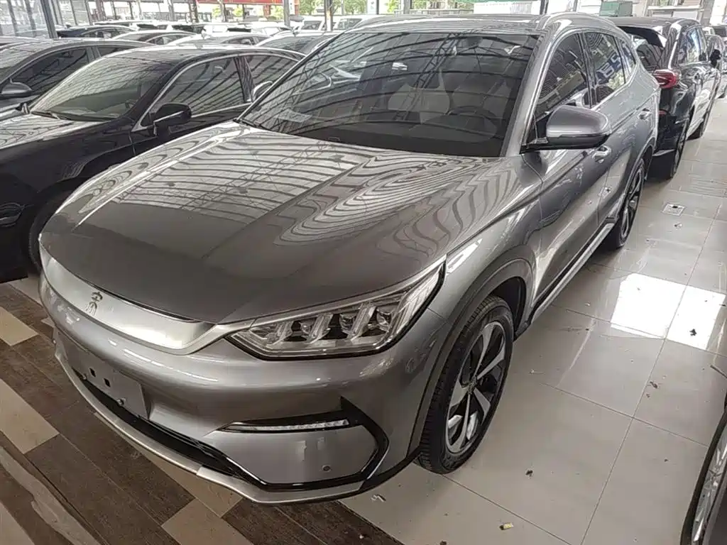 BYD PLUS New Energy 2023 — фото 2