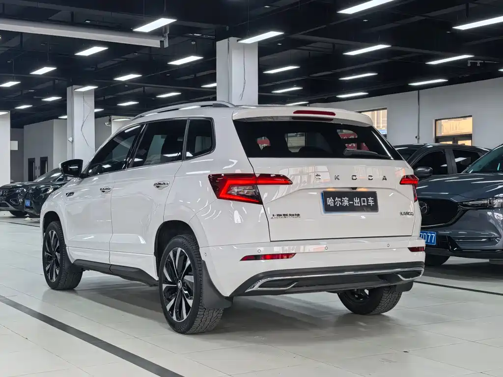 Skoda Karoq 2022 — фото 20