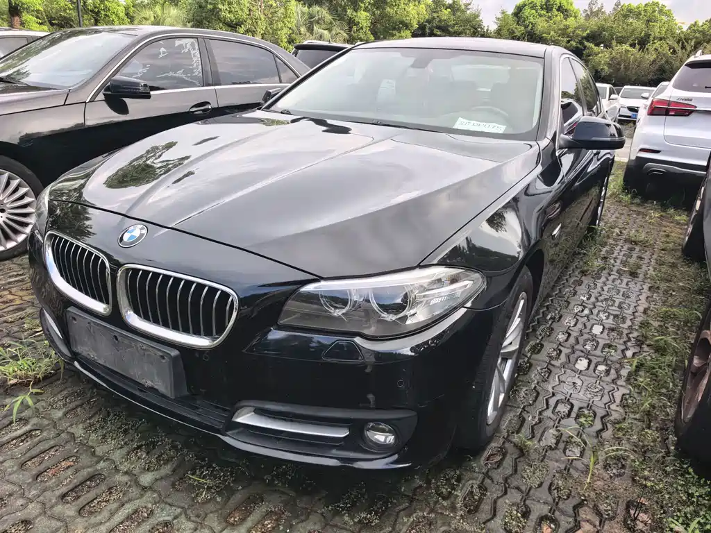 BMW 5 Series 2016 — фото 1