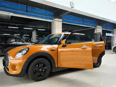 MINI MINI 2015