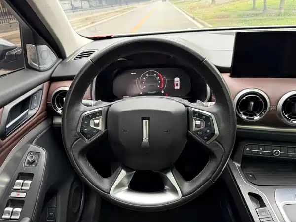 Wey VV6 2020