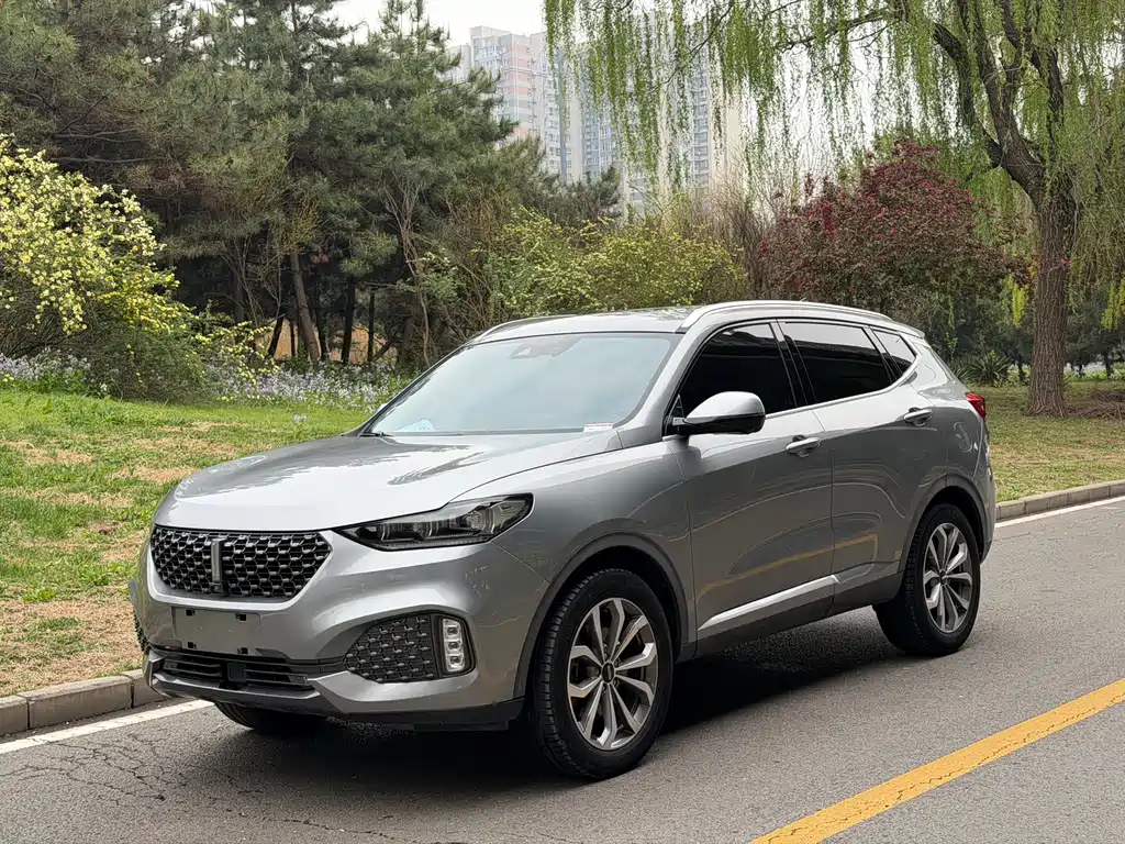 Wey VV6 2020