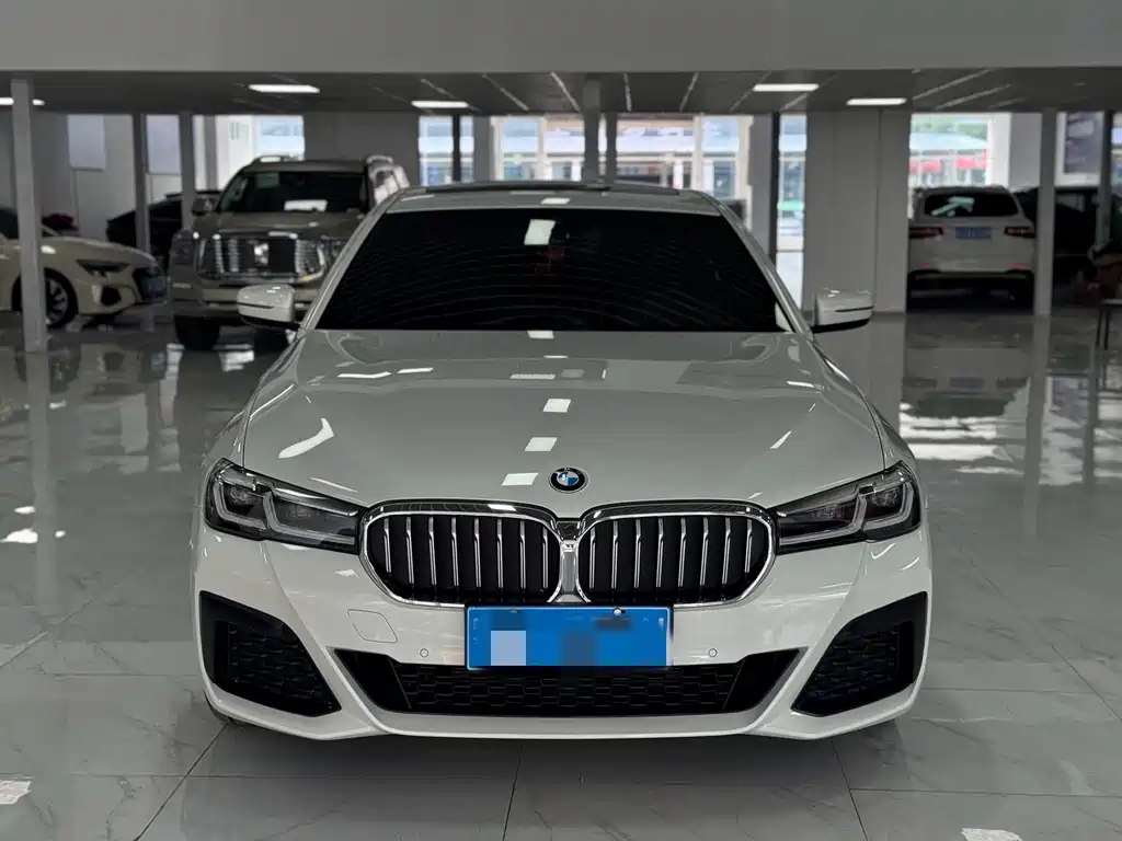 BMW 5 Series 2021