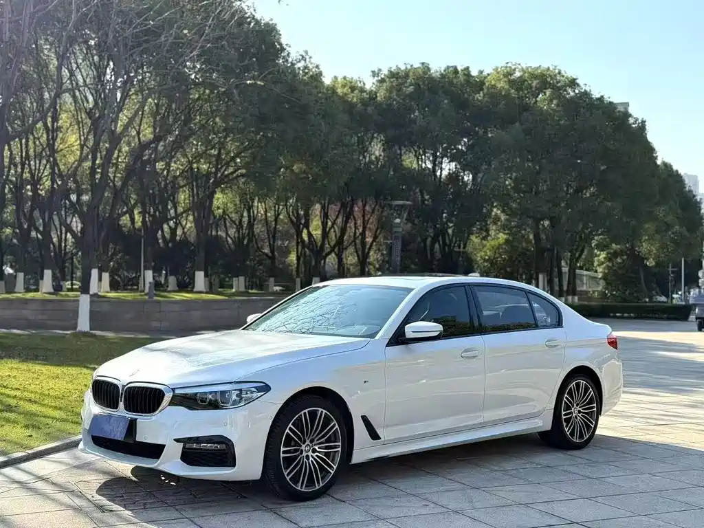 BMW 5 Series 2019 — фото 1