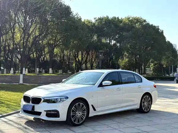 BMW 5 Series 2019