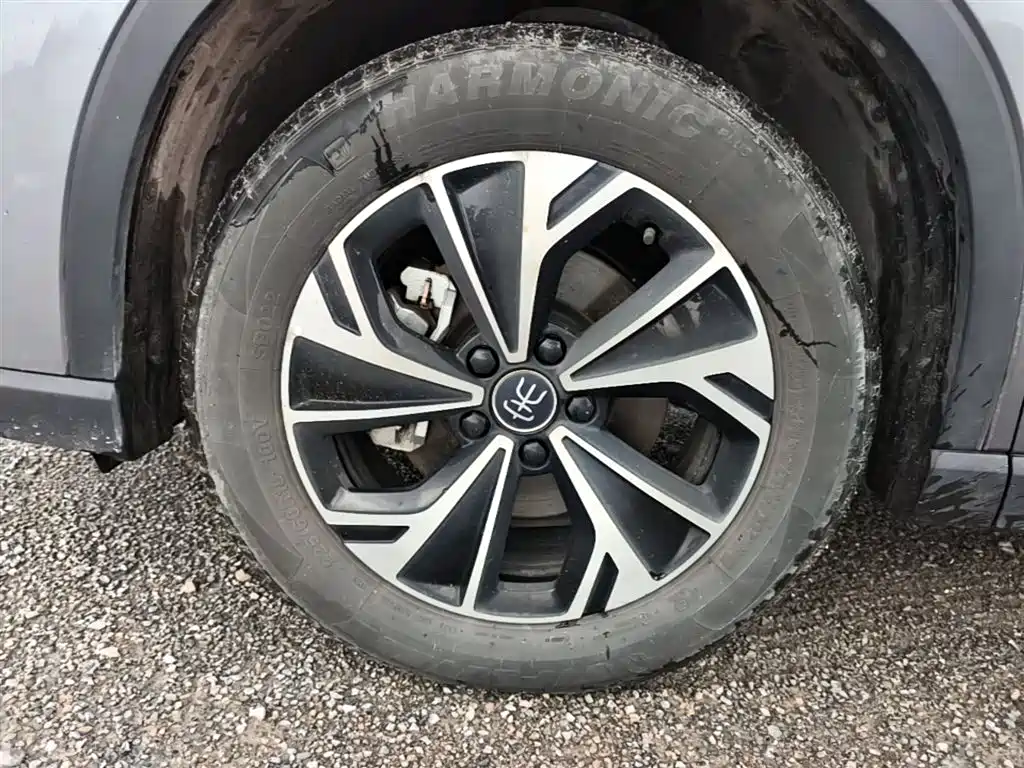 BYD Pro New Energy 2025 — фото 23