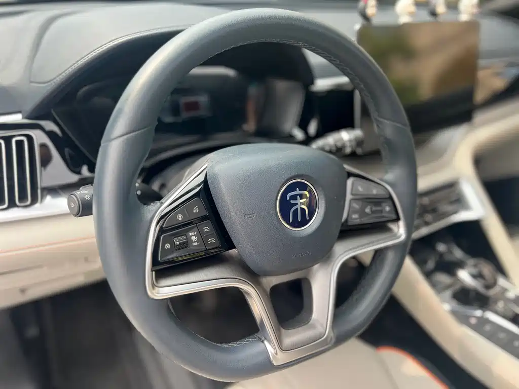 BYD PLUS New Energy 2022 — фото 12