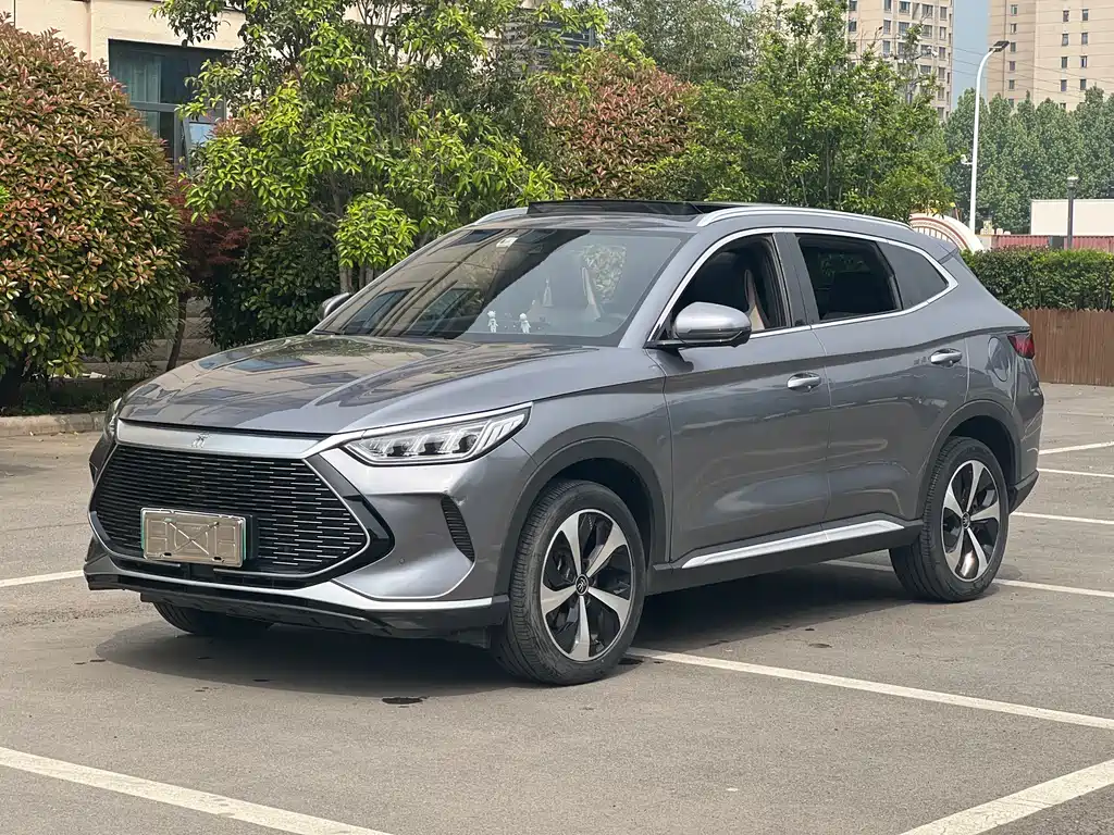BYD PLUS New Energy 2022
