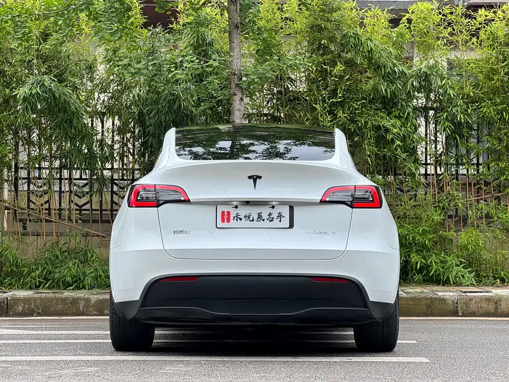 Tesla Model Y 2021 — фото 12