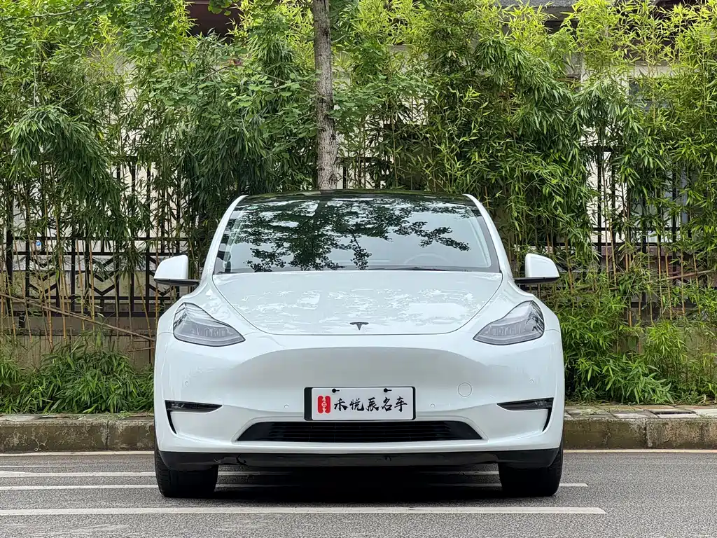 Tesla Model Y 2021 — фото 14