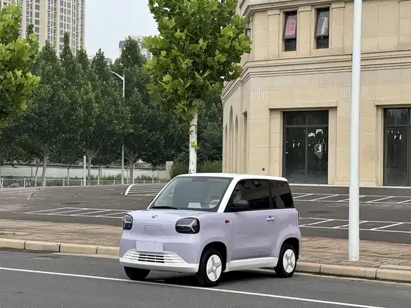 Zhidou Rainbow 2025
