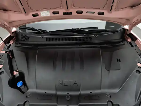 Neta V 2023