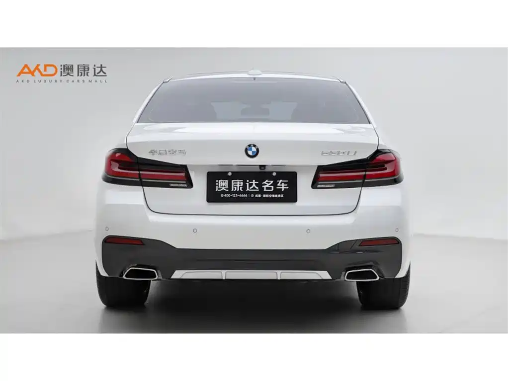 BMW 5 Series 2021