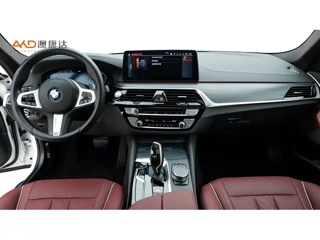BMW 5 Series 2021