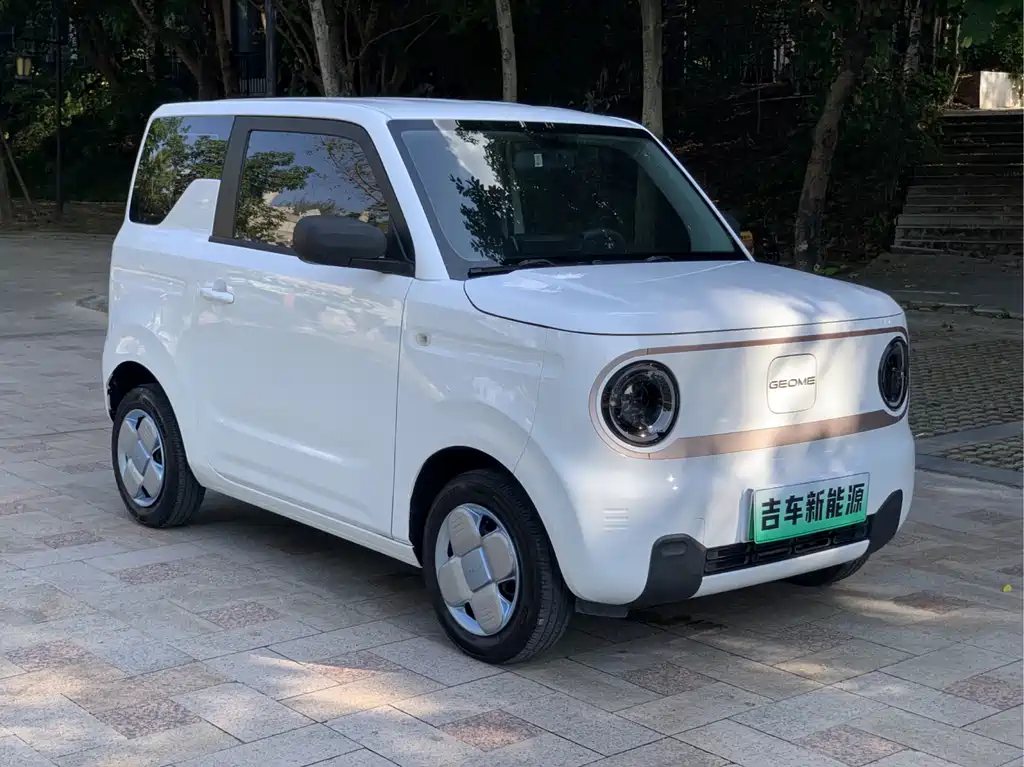 Geely Galaxy Panda 2024