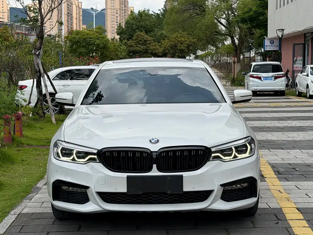 BMW 5 Series 2018 — фото 5