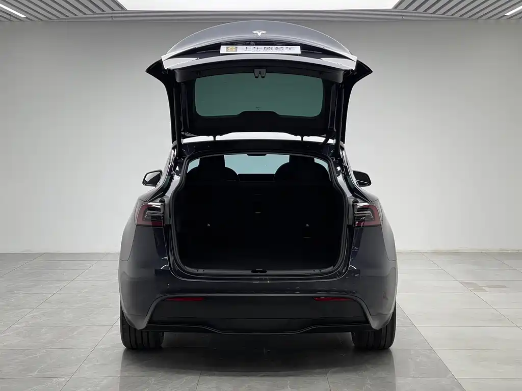 Tesla Model Y 2024 — фото 10