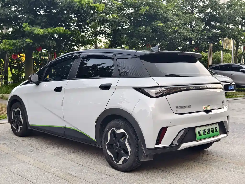BYD Dolphin 2022