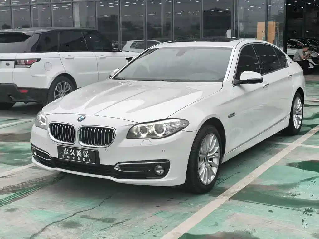 BMW 5 Series New Energy 2016