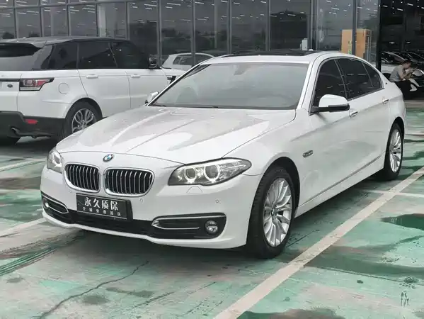 BMW 5 Series New Energy 2016
