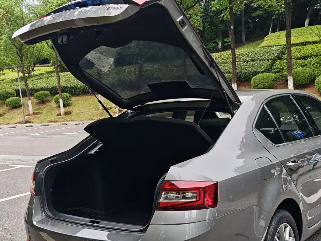 Skoda Octavia 2019 — фото 15