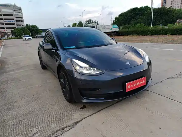 Tesla Model 3 2021