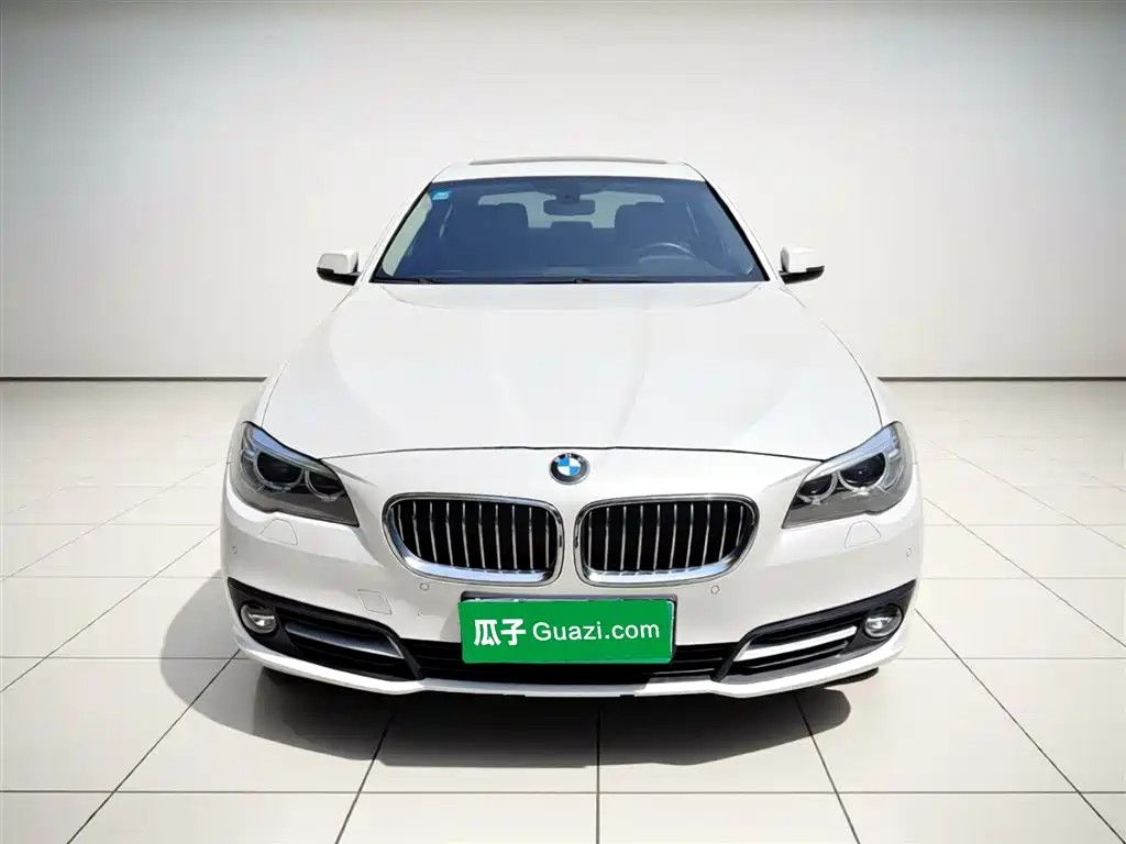 BMW 5 Series 2017 — фото 24