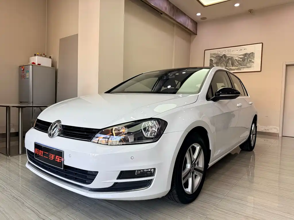 Volkswagen Golf 2017 — фото 1
