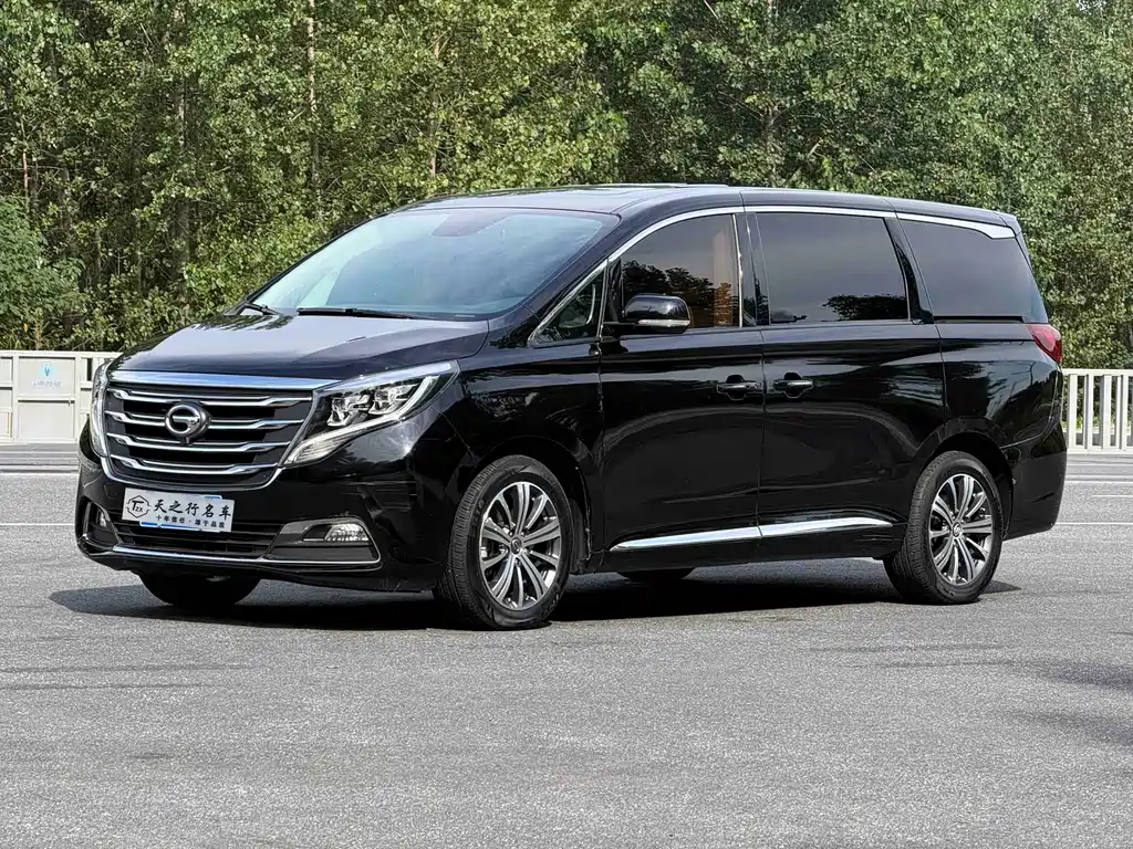 GAC Trumpchi M8 2018 — фото 1