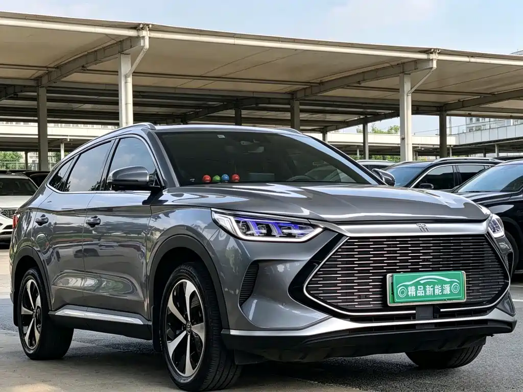 BYD PLUS New Energy 2022 — фото 3