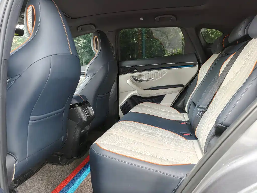 BYD PLUS New Energy 2022 — фото 14