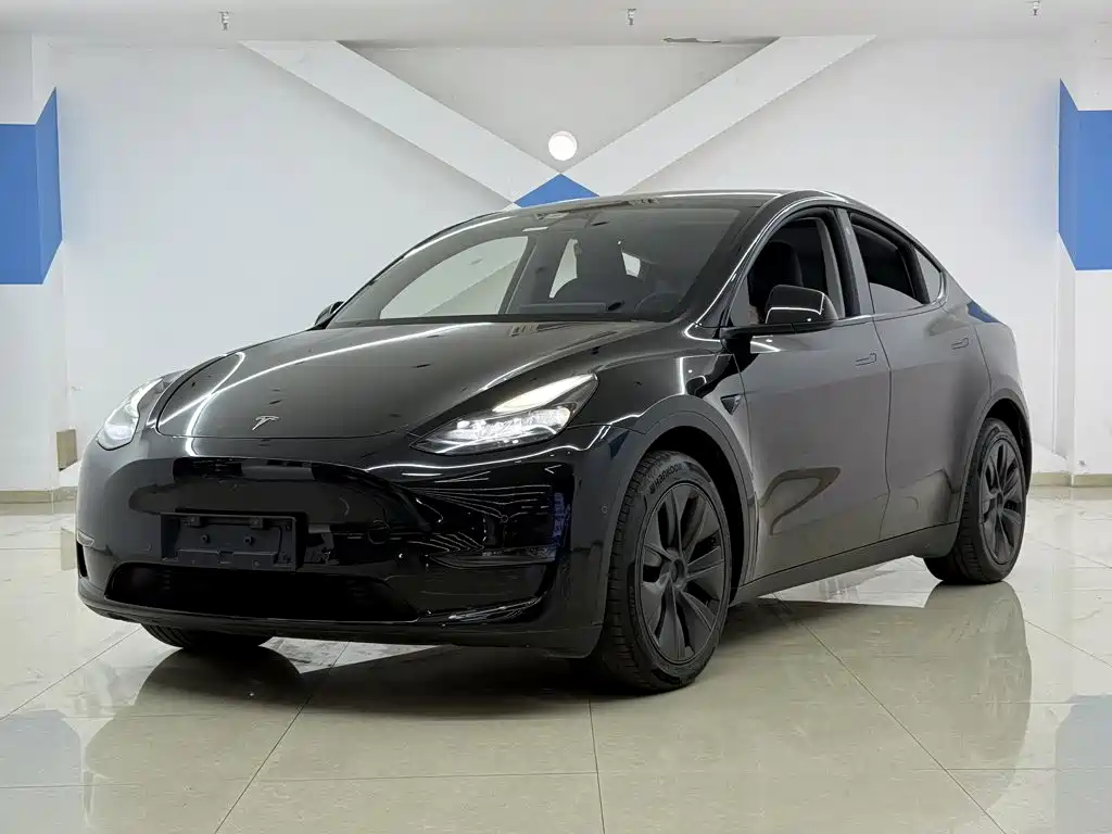 Tesla Model Y 2024 — фото 1