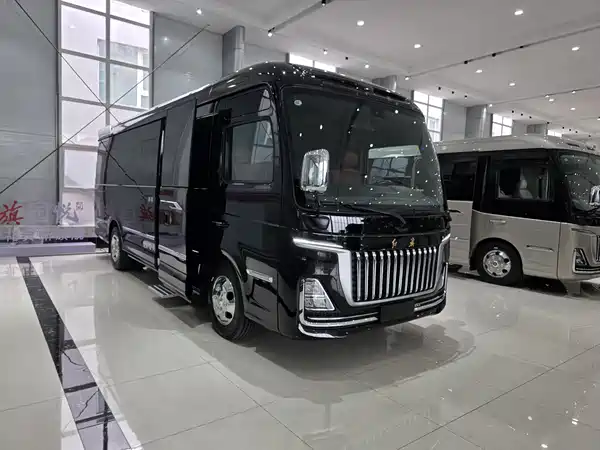 Hongqi Golden Sunflower 2024