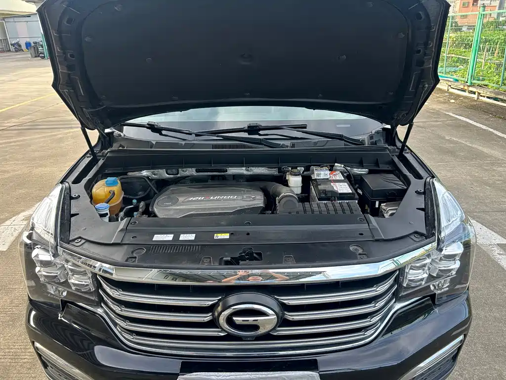 GAC Trumpchi GS8 2019 — фото 16
