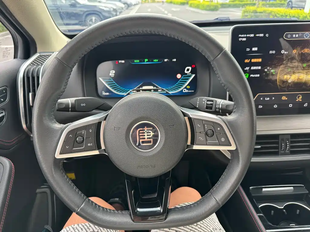 BYD Tang New Energy 2019 — фото 12