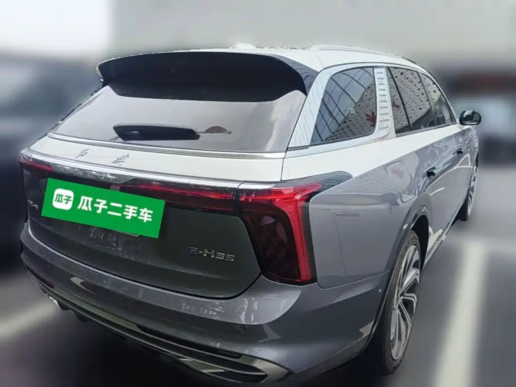 Hongqi E-HS9 2021 — фото 12