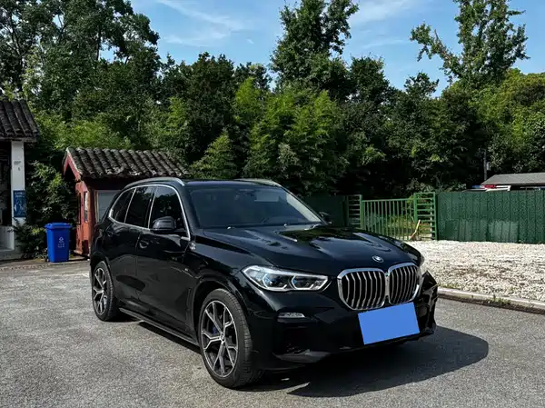 BMW X5 2019