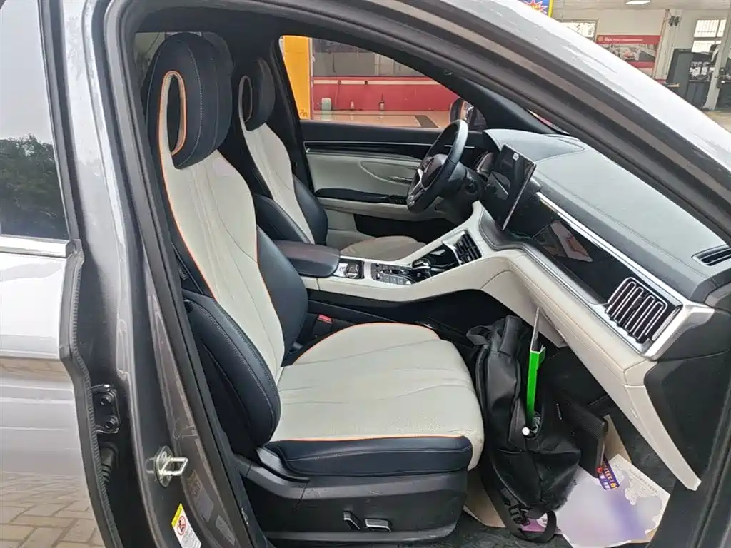 BYD PLUS New Energy 2023 — фото 25